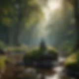 A serene landscape promoting mindfulness
