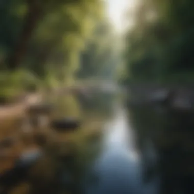 Relaxing nature scene with a peaceful river
