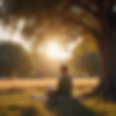 A serene landscape with a person reading under a tree during sunset