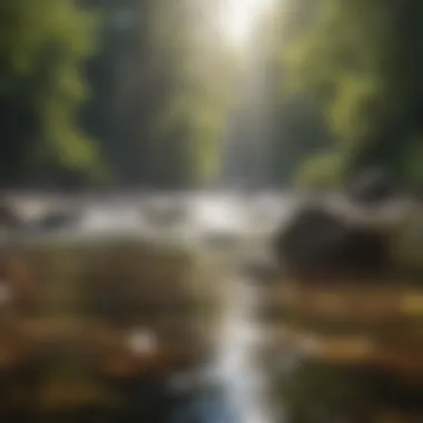 A peaceful scene by a flowing river representing tranquility