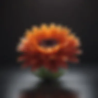 A vibrant flower blooming, representing personal growth