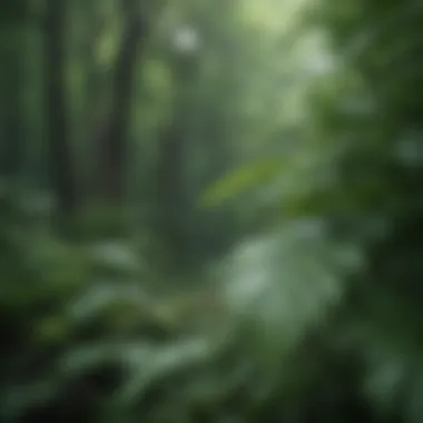 Soft rain falling on lush green leaves