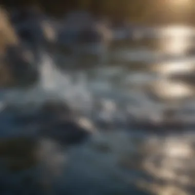 Flow of Serenity Calming water flow representing inner peace