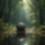 Calming nature scene for meditation