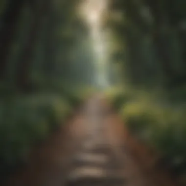 Nature's Embrace: A Path to Calm Serene landscape promoting tranquility