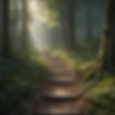 A pathway through a forest representing personal growth.