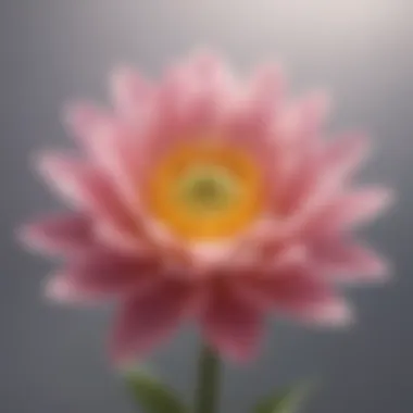 Symbol of Personal Growth An abstract illustration of a blooming flower symbolizing personal growth.