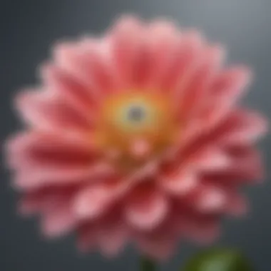 A close-up of a blooming flower symbolizing personal development