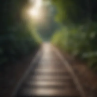 Journey to Self-Discovery Pathway leading towards self-discovery