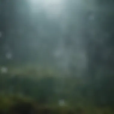 Close-up of rain droplets on a window, creating a calming effect