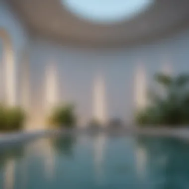 The Serenity of Sensory Deprivation Tanks Close-up view of a sensory deprivation tank in a serene environment
