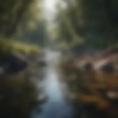 Finding Peace Amidst Challenges A serene landscape representing tranquility and mental peace
