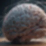 Close-up of a brain with neural connections highlighted