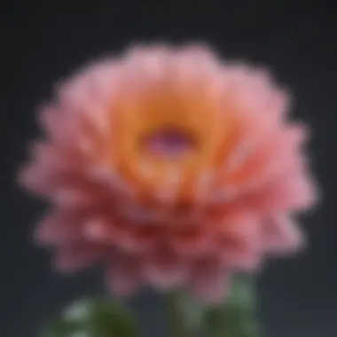 Blooms of Self-Acceptance A blooming flower representing growth and self-acceptance