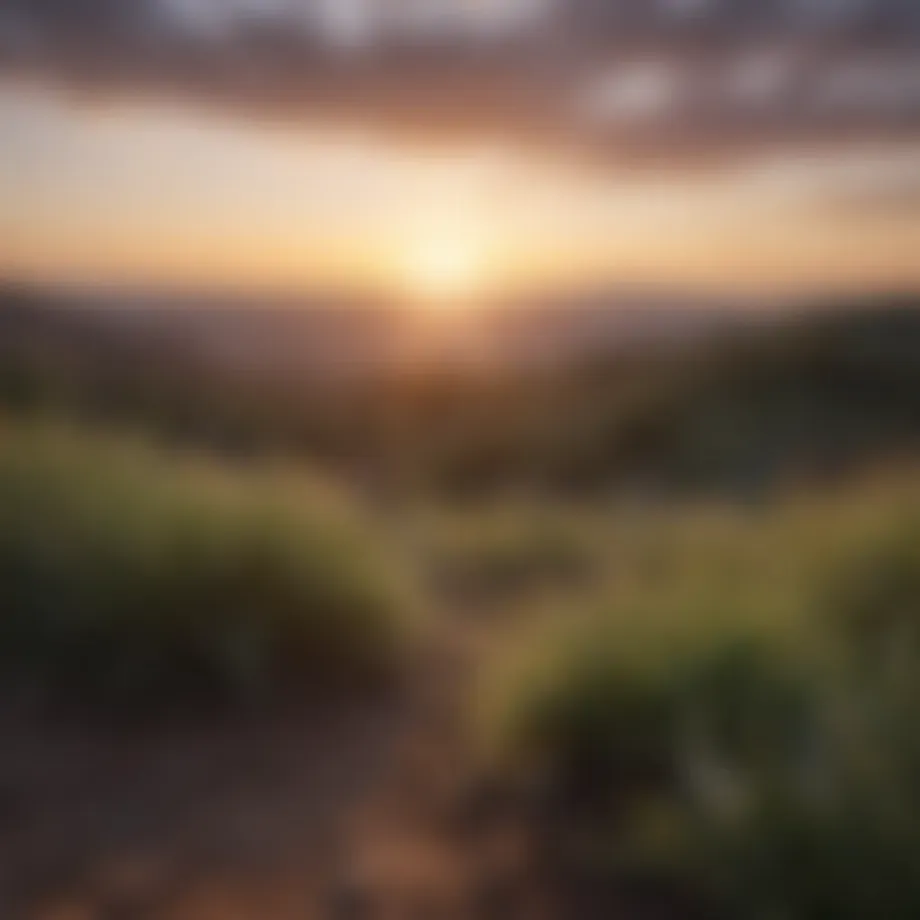 A serene landscape at sunrise symbolizing new beginnings during grief.