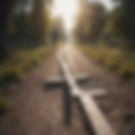A person standing at a crossroads, contemplating different paths.