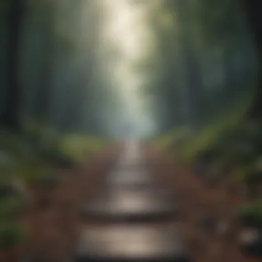 Exploring Avenues of Help A visual metaphor for pathways to support and assistance