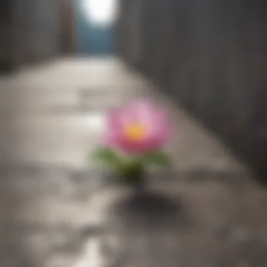 A blooming flower breaking through concrete, illustrating resilience and growth