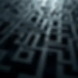 A maze reflecting the complexity of navigating a relationship with a narcissist