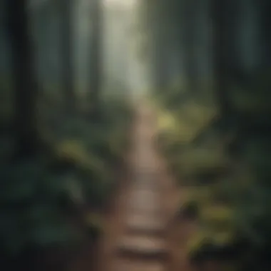 Choosing Your Path A path diverging in a forest, representing choices and direction