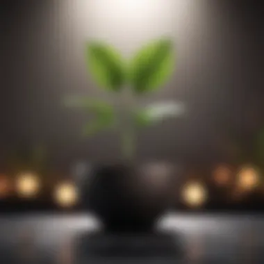 Symbol of Growth A growing plant symbolizing personal growth and resilience