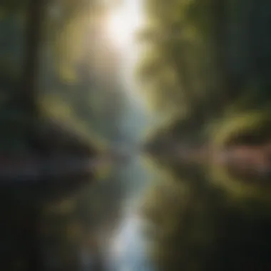 Finding Tranquility in Nature A serene landscape reflecting tranquility and introspection.