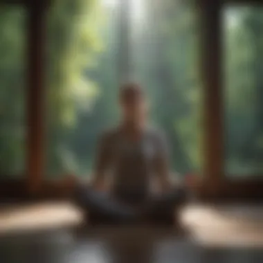The Benefits of Guided Meditation A peaceful scene demonstrating the benefits of guided meditation practices