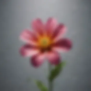 Symbol of Renewal A blooming flower representing renewal and forgiveness