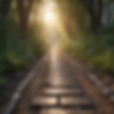 Pathway to Resilience A path leading towards a brighter future.