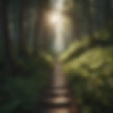 A path winding through a forest symbolizing the journey of self-awareness