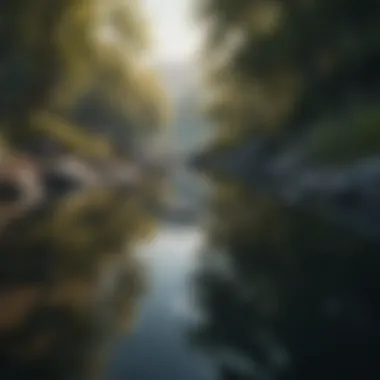 A serene landscape reflecting calmness