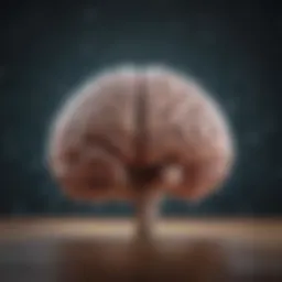 Illustration of brain activity during meditation