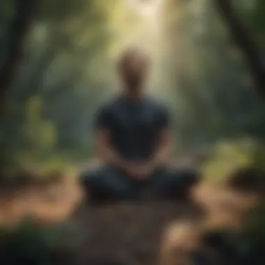 Embracing Mindfulness for OCD Relief Mindfulness meditation setting