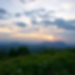 A serene landscape symbolizing tranquility and positivity