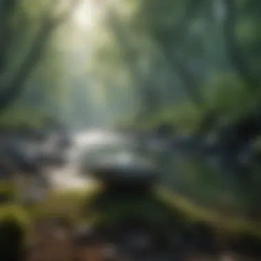 Nature's Calm Amidst Chaos Serene nature scene promoting relaxation