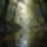 A tranquil landscape illustrating peace and calmness