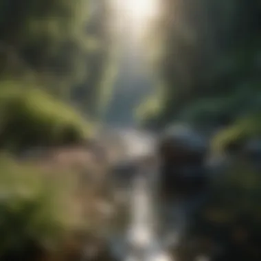 Finding Calm Through Nature Serene landscape symbolizing mindfulness and tranquility