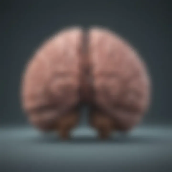 A conceptual image depicting the brain, highlighting the connection between mental health and physiological responses.