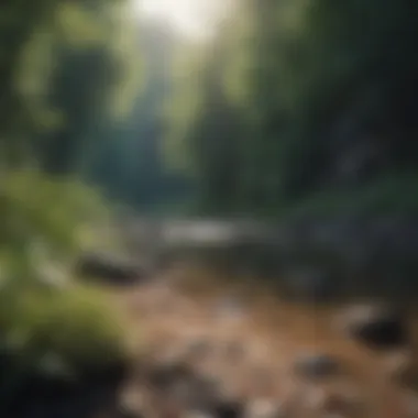 Tranquility in Nature A serene landscape symbolizing tranquility and mindfulness.